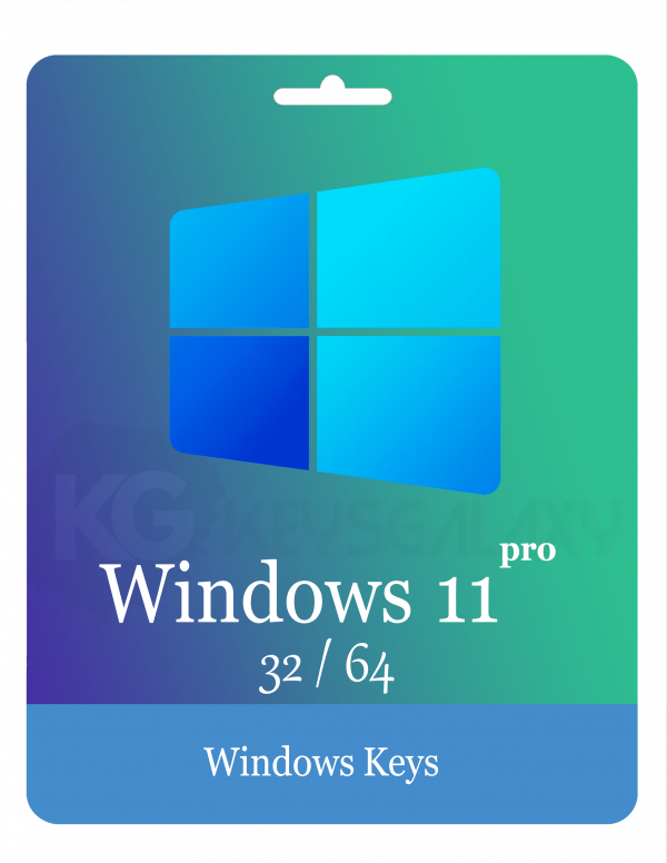 windows 11 pro